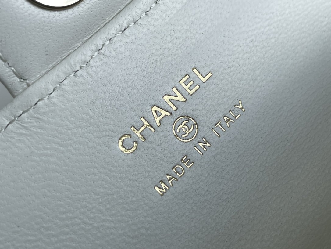 Chanel Satchel Bags